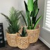 WATER HYACINTH PLANTER POT